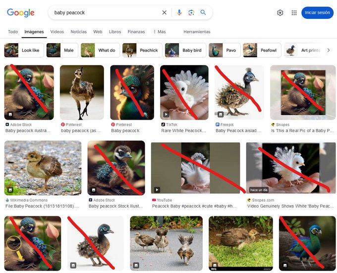 Captura de pantalla de imágenes de crías de pavo real, algunas marcadas como deepfakes.